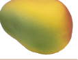 مانجو رحى